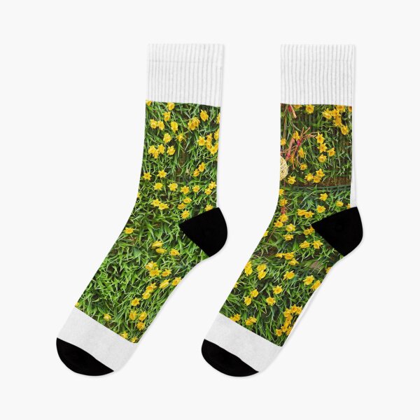 Item preview, Spring nature background with yellow flowers and grass designed and sold by goceris.