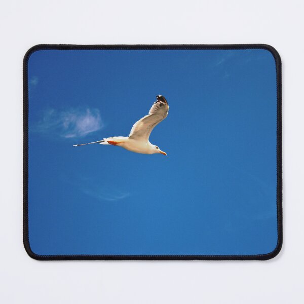 Item preview, Seagull flying_take two designed and sold by DanielVijoi.