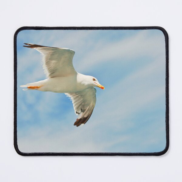 Item preview, Seagull flying designed and sold by DanielVijoi.