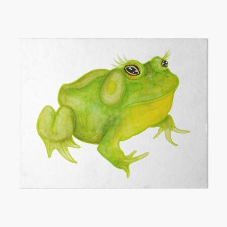 Frog in watercolour & coloured pencil Art Board Print