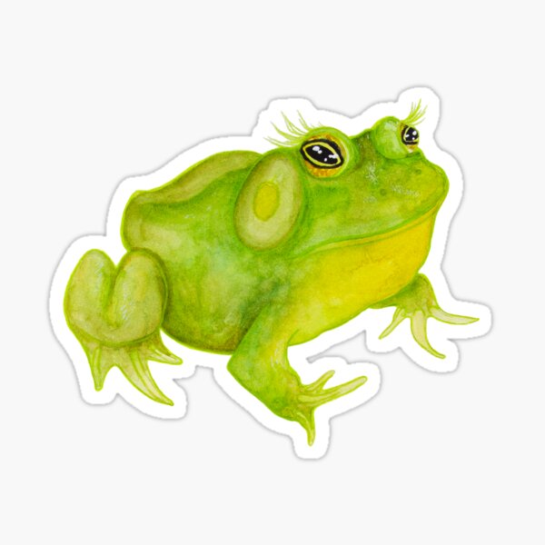 Frog in watercolour & coloured pencil Sticker