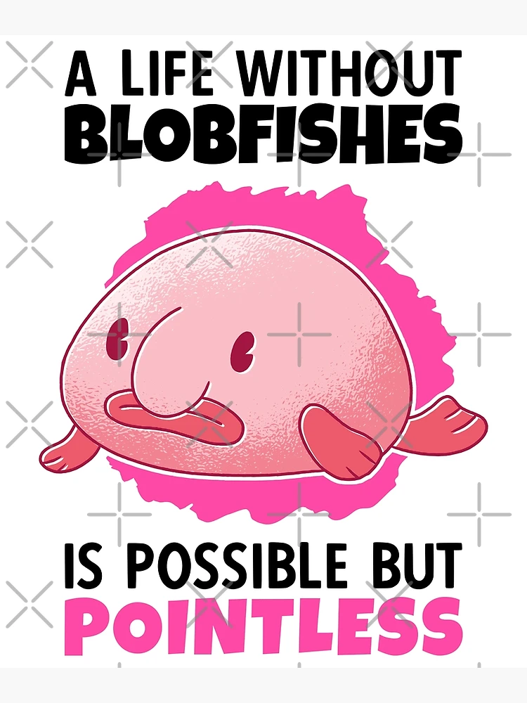 Memes - Quarantine blob fish #confused #perspective