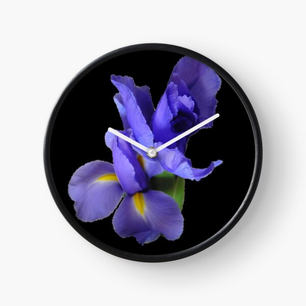Incredible Iris on black Clock