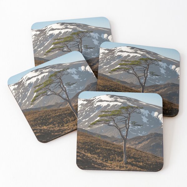 Item preview, Lone Tree, Glen Affric designed and sold by KGrainger-Photo.