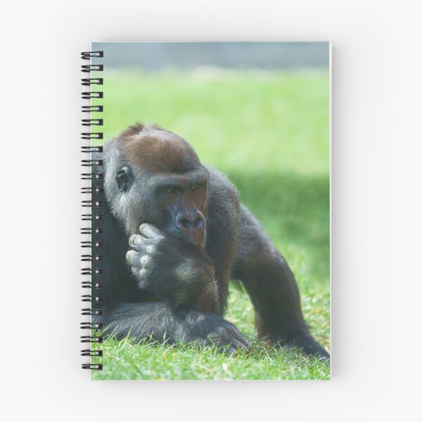 Item preview, Thumb Sucking Gorilla designed and sold by rawshutterbug.