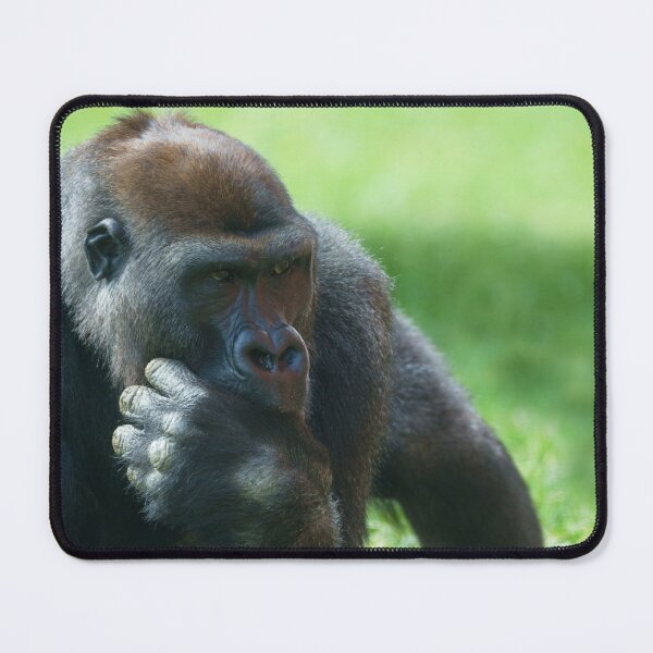 Item preview, Thumb Sucking Gorilla designed and sold by rawshutterbug.