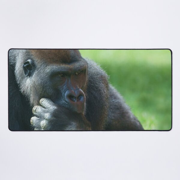 Item preview, Thumb Sucking Gorilla designed and sold by rawshutterbug.