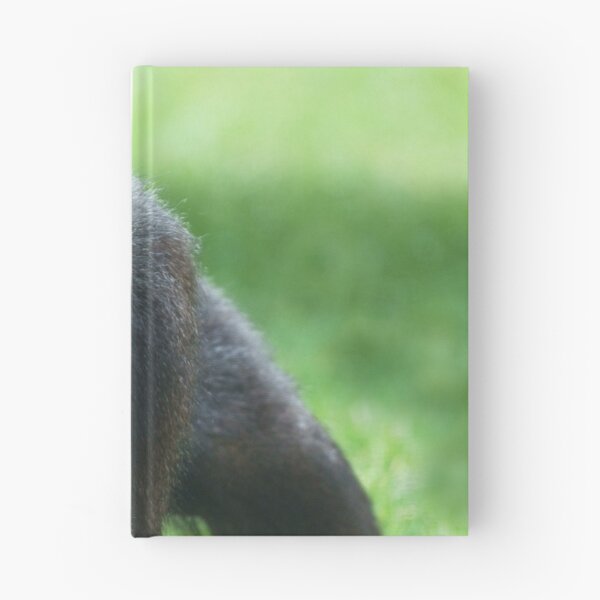 Item preview, Thumb Sucking Gorilla designed and sold by rawshutterbug.
