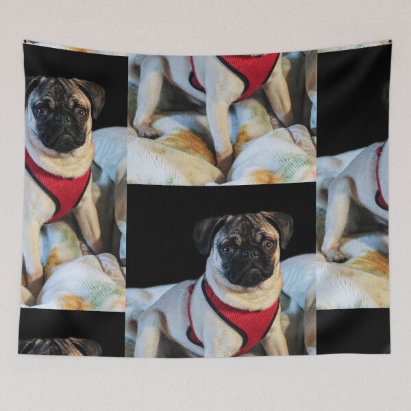 Item preview, Please Let Me Stay On Your Bed! designed and sold by heatherfriedman.