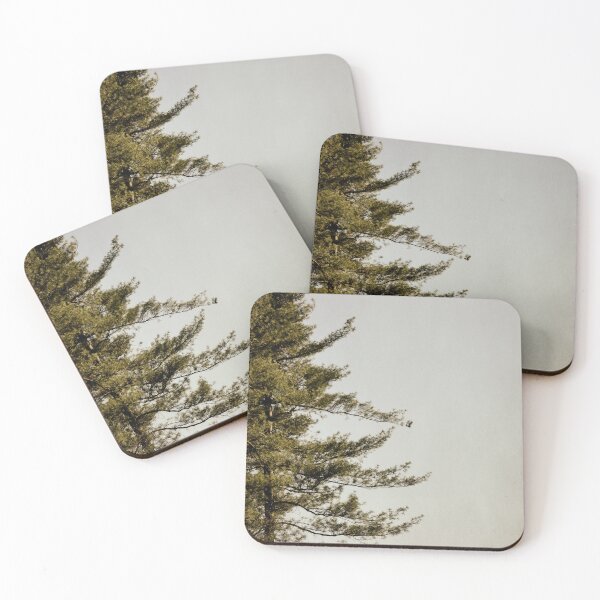 Item preview, No Need For Haste  designed and sold by Denise Abé.
