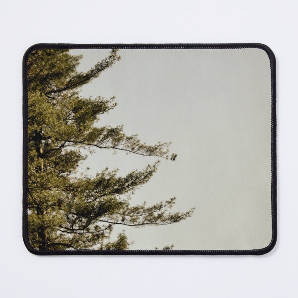 Item preview, No Need For Haste designed and sold by Denise Abé.
