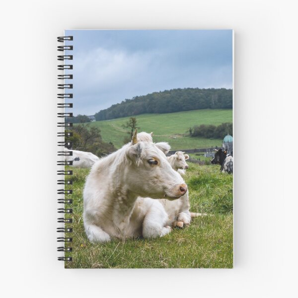 Item preview, A bucolic countryside landscape designed and sold by ArboreSciences.