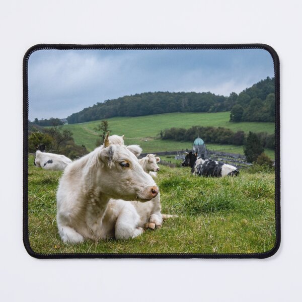 Item preview, A bucolic countryside landscape designed and sold by ArboreSciences.