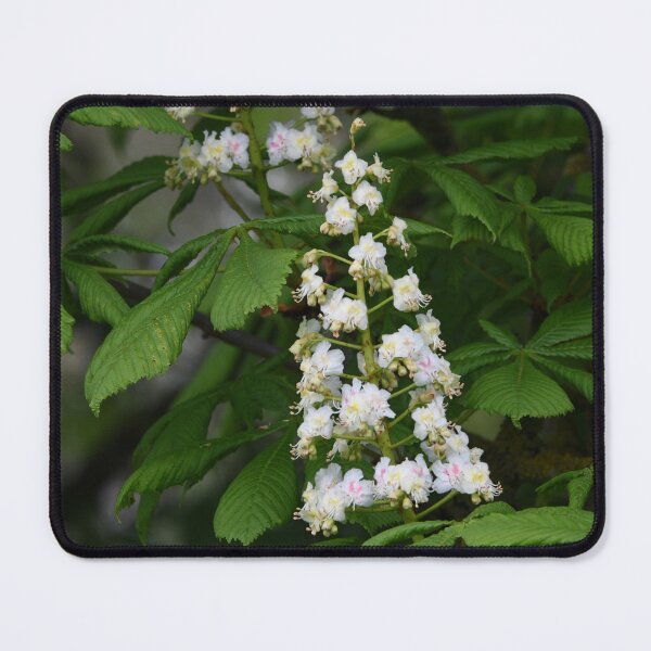 Item preview, horse chestnut designed and sold by markspics.