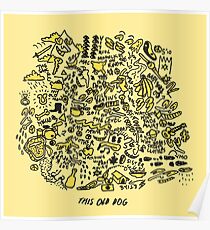 Mac DeMarco 'This Old Dog' Album Poster