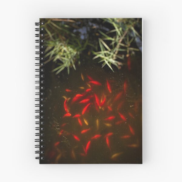 Item preview, Goldfish pond designed and sold by Silvia Ganora.