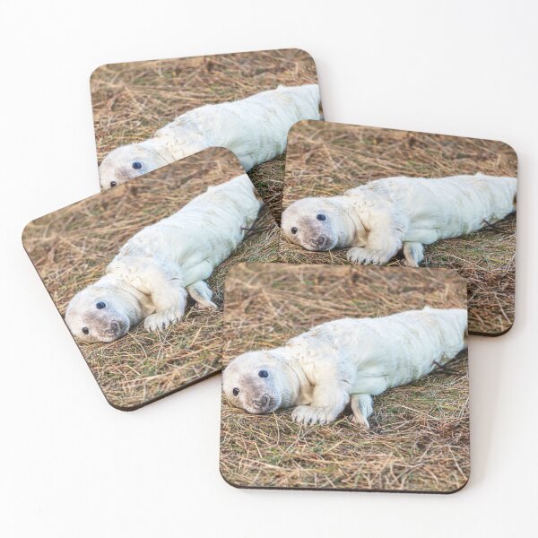 Item preview, New Born Grey Seal Pup designed and sold by Paul Thompson Photography.