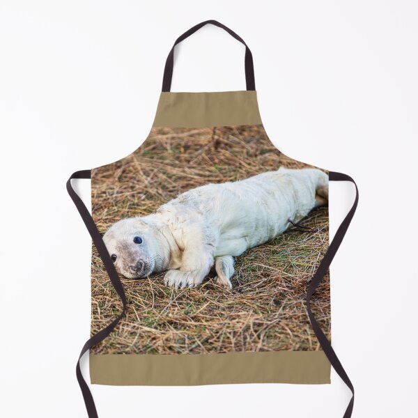 Item preview, New Born Grey Seal Pup designed and sold by Paul Thompson Photography.