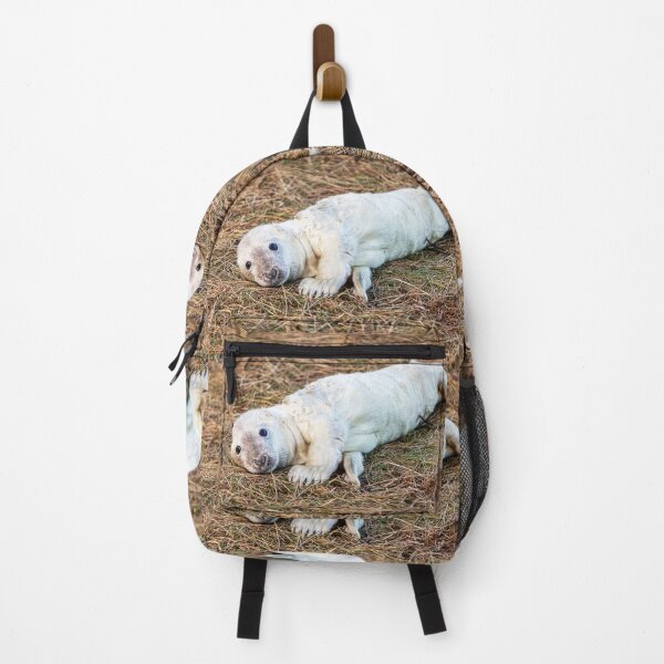 Item preview, New Born Grey Seal Pup designed and sold by Paul Thompson Photography.