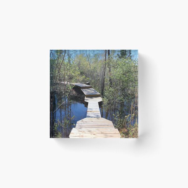 Item preview, Crossing The Swamp designed and sold by Cynthia48.