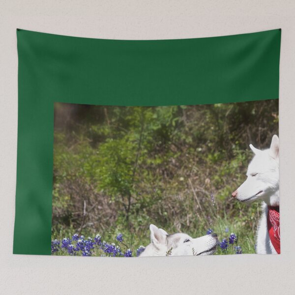 Item preview, Huskies in Bluebonnets designed and sold by May Finch.
