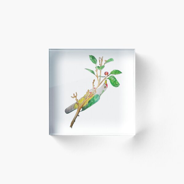 Item preview, Beautiful Fruit Dove designed and sold by Charles Roring.
