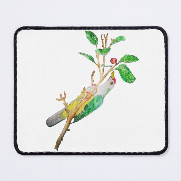 Item preview, Beautiful Fruit Dove designed and sold by Charles Roring.