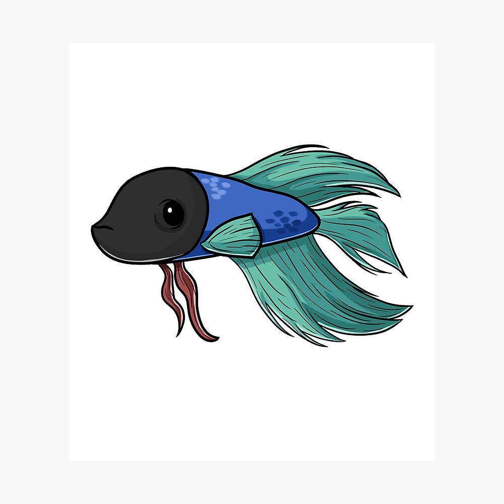 Cartoon Blue Betta Fish Cartoon Blue Betta Fish