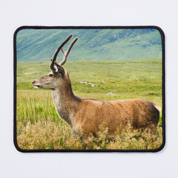 Item preview, King of the Glen designed and sold by kennyptim.