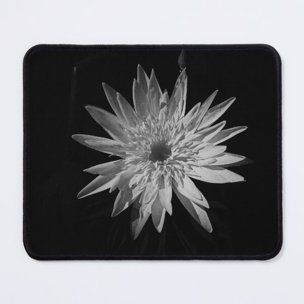 Item preview, Living Freedom designed and sold by Michiale.