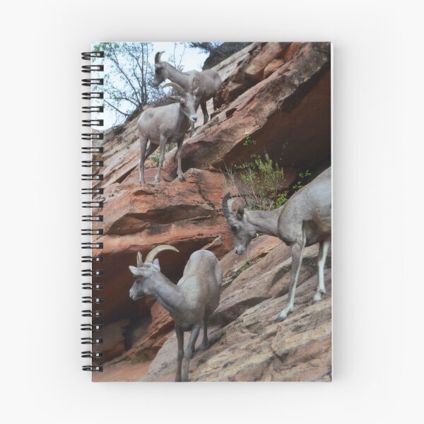 Item preview, Bighorn Sheep - Zion National Park designed and sold by Glenn McCarthy.