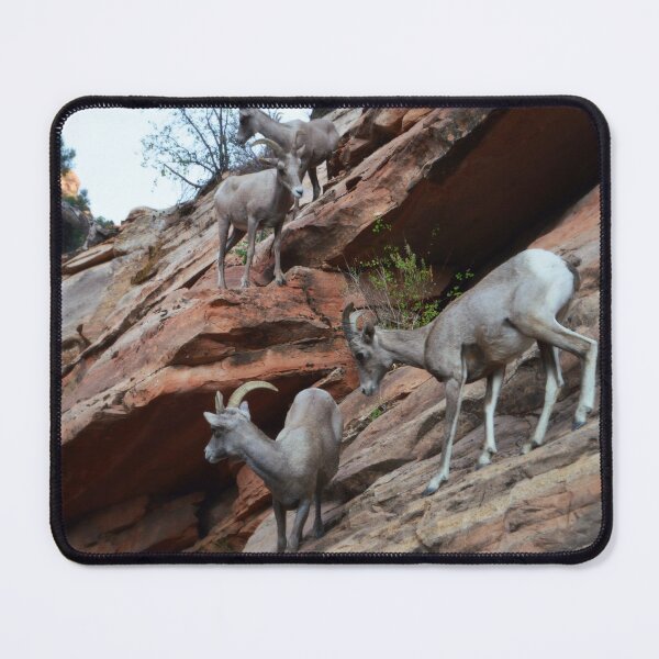 Item preview, Bighorn Sheep - Zion National Park designed and sold by Glenn McCarthy.