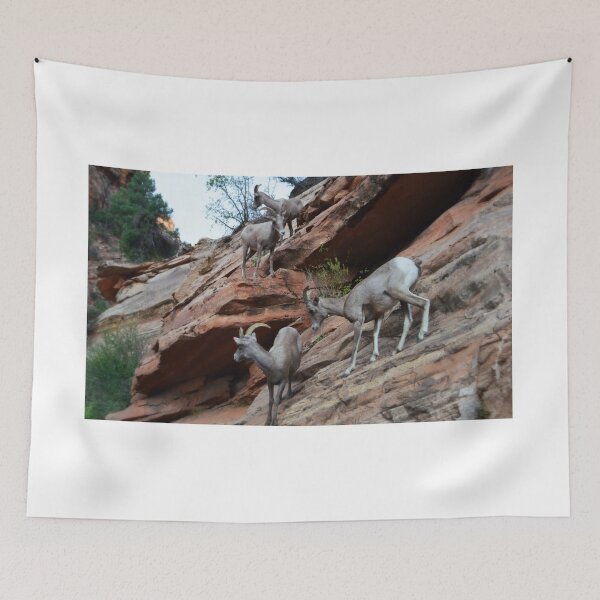Item preview, Bighorn Sheep - Zion National Park designed and sold by Glenn McCarthy.