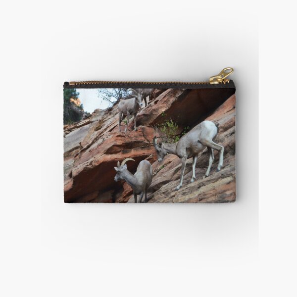 Item preview, Bighorn Sheep - Zion National Park designed and sold by Glenn McCarthy.