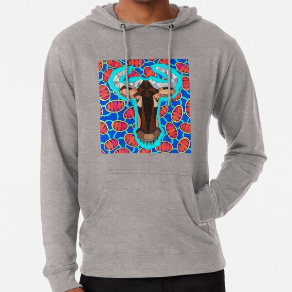 Lightweight Hoodie