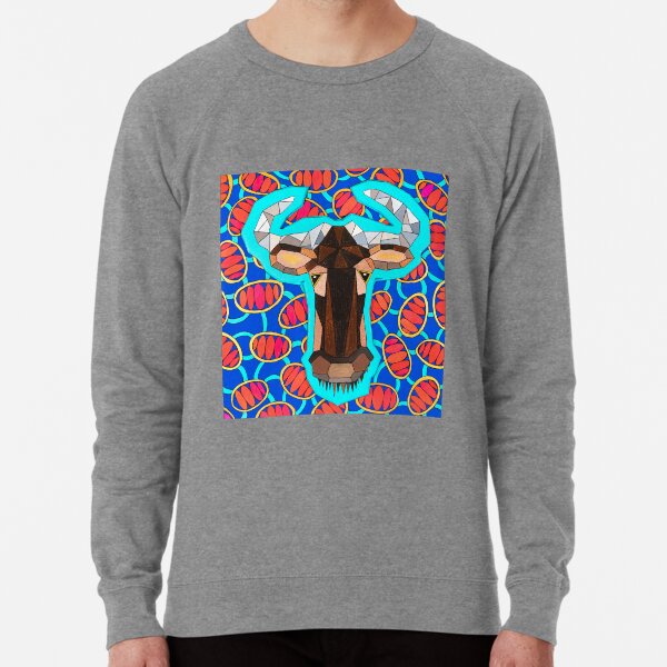 Lightweight Sweatshirt