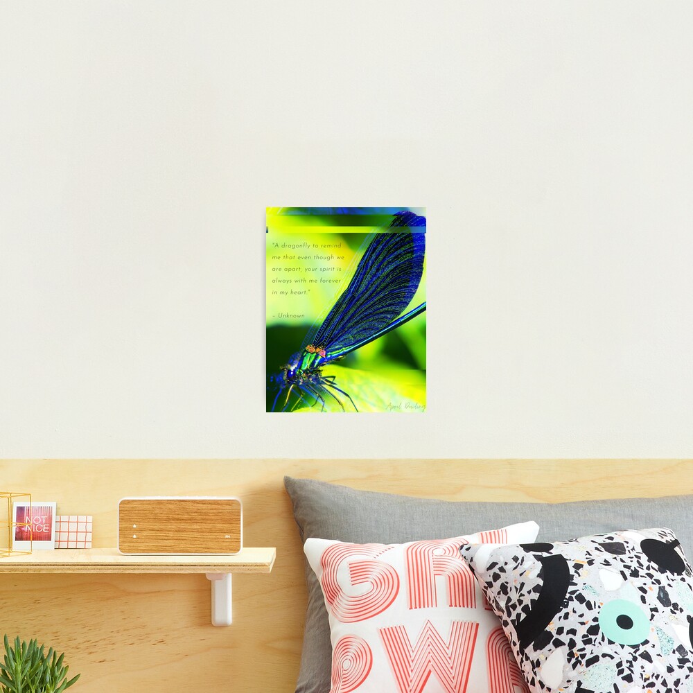Dragonfly's Message Photographic Print