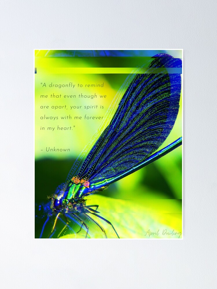 Alternate view of Dragonfly's Message Poster