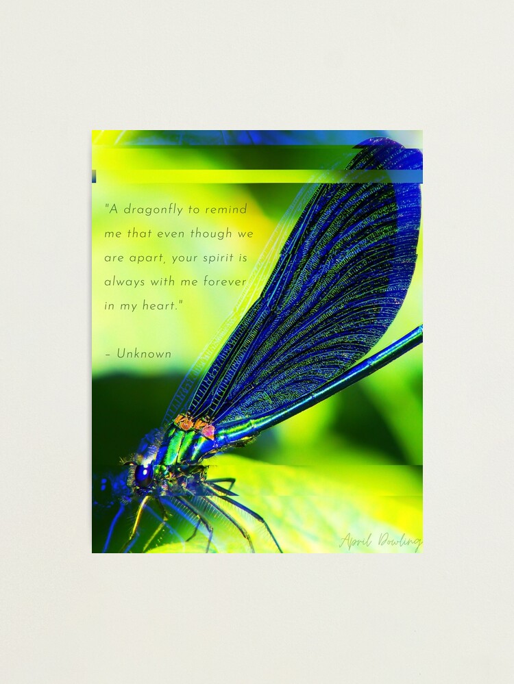 Alternate view of Dragonfly's Message Photographic Print