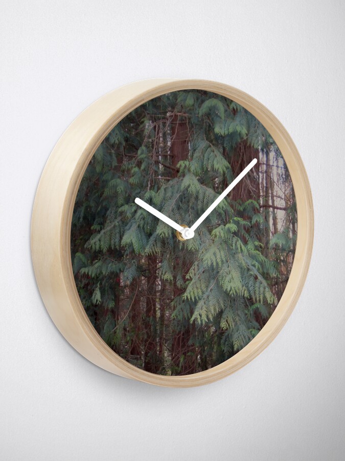 Alternate view of Forest Clock