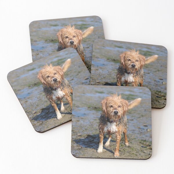Item preview, Patiently waiting designed and sold by GreyFeatherPhot.