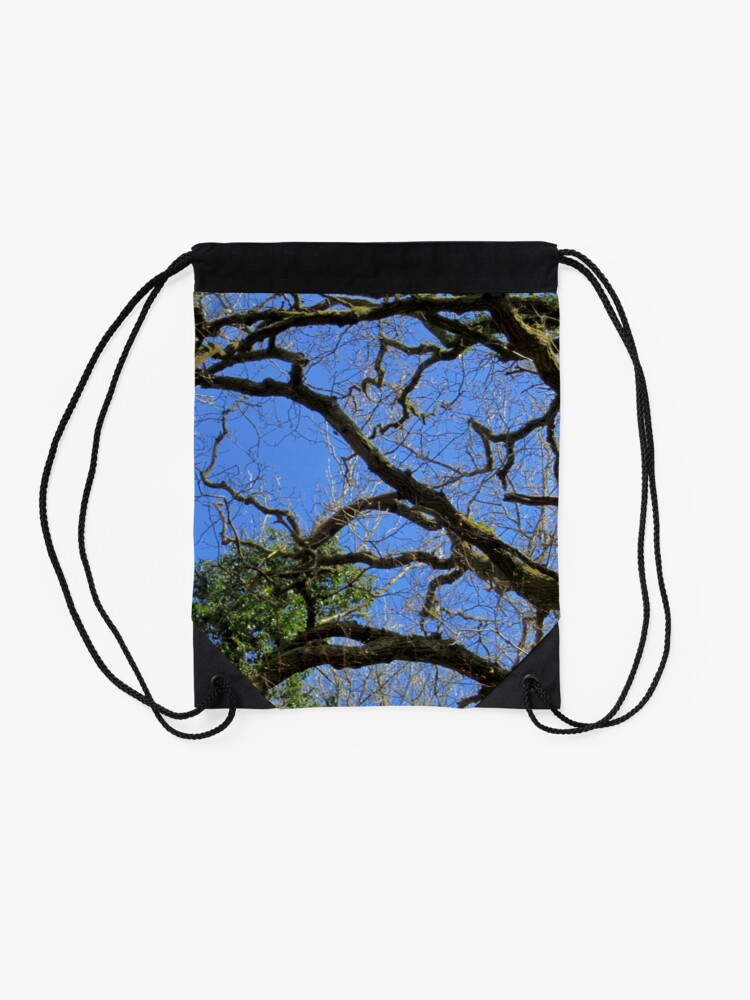 Alternate view of Forest Drawstring Bag
