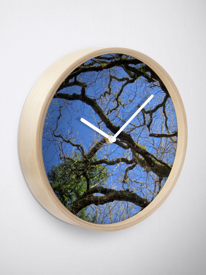 Alternate view of Forest Clock