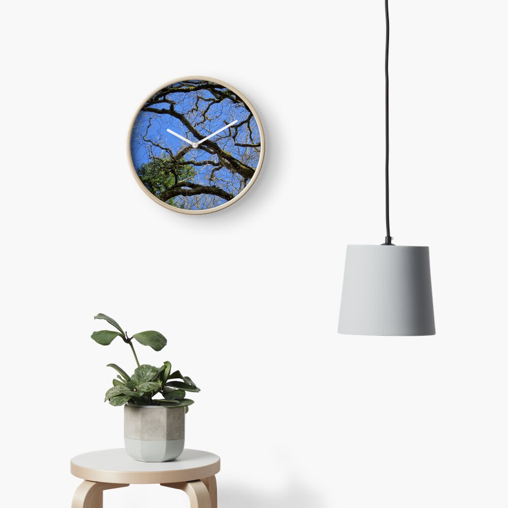 Forest Clock