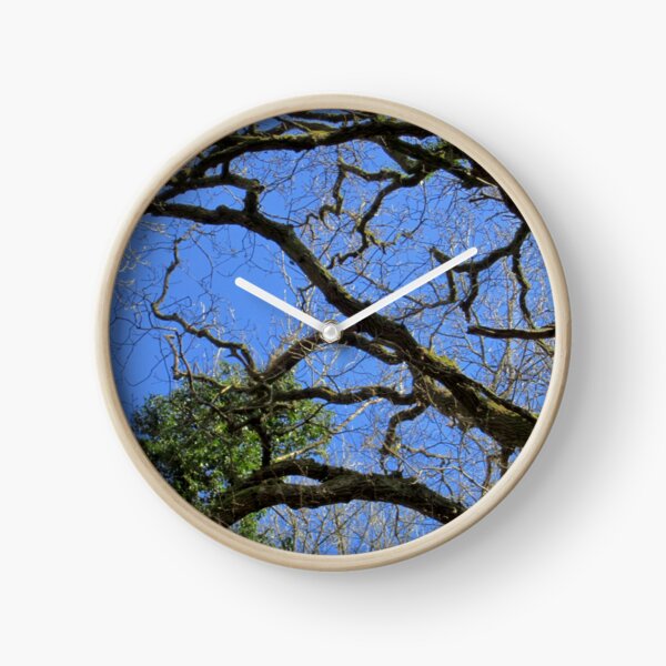 Forest Clock