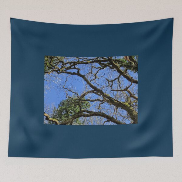 Item preview, Forest designed and sold by Lovemydesigns.
