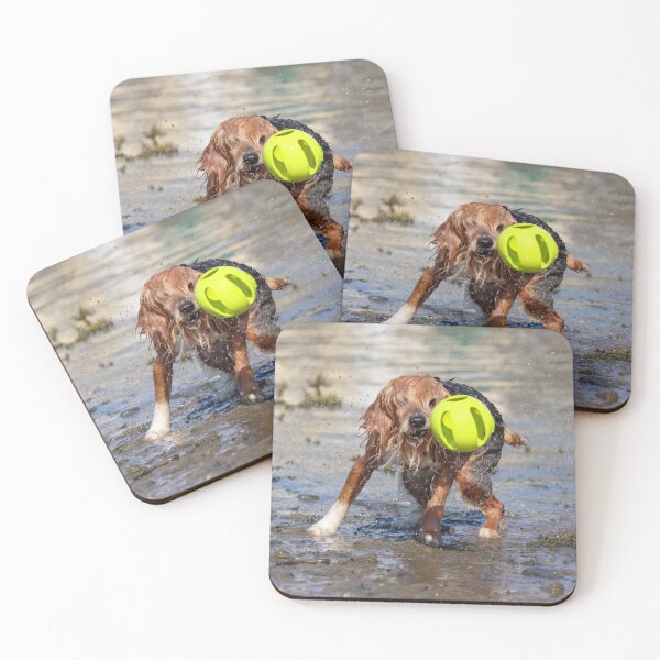 Item preview, Catch! designed and sold by GreyFeatherPhot.