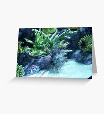 Something Fishy Greeting Card