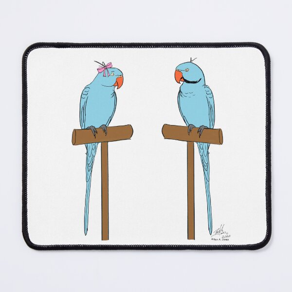 Item preview, Crazy Bird Lady with Blue Indian Ring Neck Parrots designed and sold by Laughing Parrot Studio.