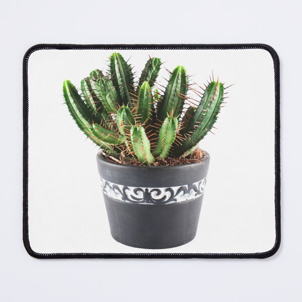 Item preview, potted cactus plant designed and sold by Rocklights.